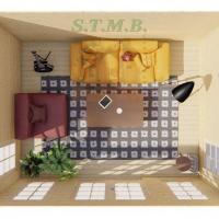 Abri de jardin hogar stmb construction 7