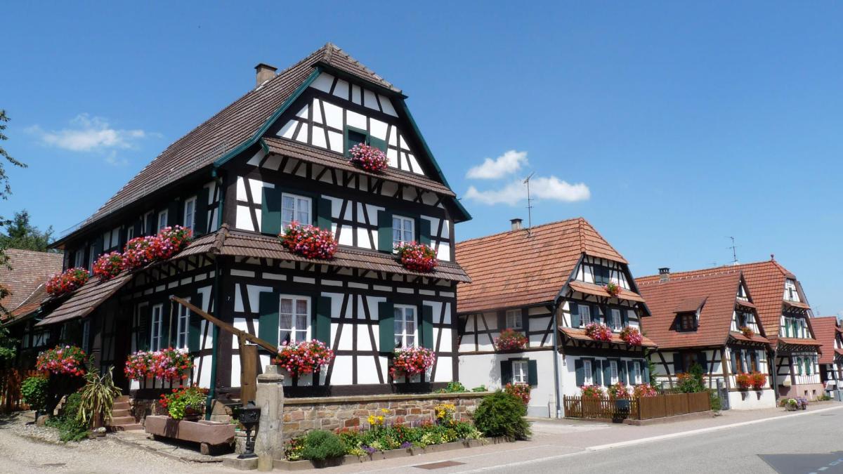 Le bois, un matériau durable...la preuve ! - STMB Construction