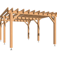 Pergola bois 1023 21 06 m2 douglas stmb construction webp