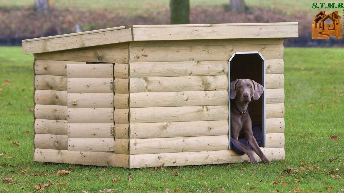Abri de jardin pour un animal domestique	